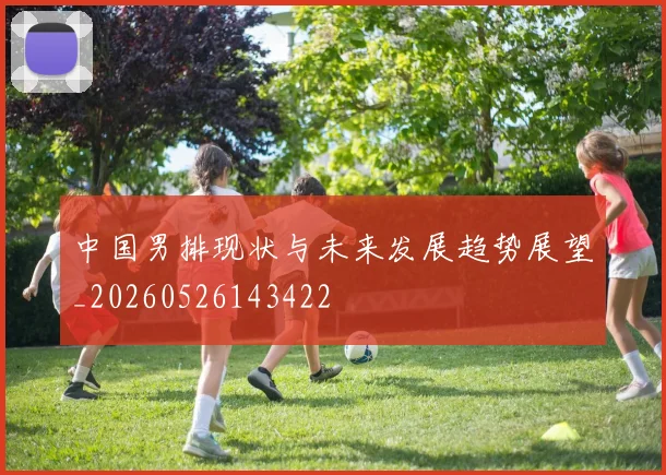 中国男排现状与未来发展趋势展望_20260526143422